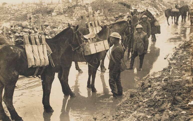 Horses carrying ammunition, c1917