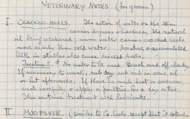 Sassoon's notebook containing veterinary notes on how to care for horses, from January 1916