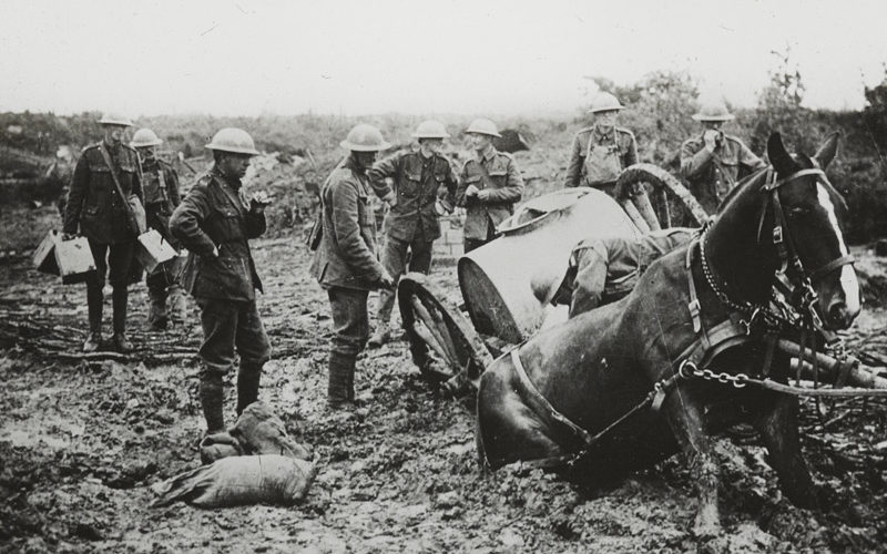 Horse-drawn water cart stuck in the mud, St. Eloi, 11 August 1917